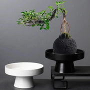 Artigianato creativo Vaso in ceramica Fiore artificiale Vasi da fiori decorativi Decorazione da scrivania Composizioni floreali Vasi Decorazioni per la casa moderne HASHTAG