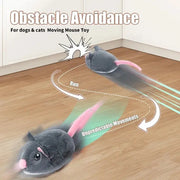Giocattoli per gatti con topo interattivo elettrico Giocattolo di peluche divertente Giocattoli di movimento interattivo per animali domestici intelligenti Accessori per gatti per animali domestici a movimento rapido HASHTAG