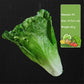 Artificial vegetables model kitchen, restaurant or store shop decoration Liebe - Making Life Easier