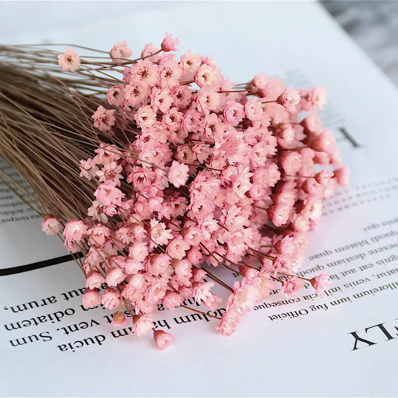 Artificial Flowers Spring Decoration Bright Color Dried Liebe - Making Life Easier