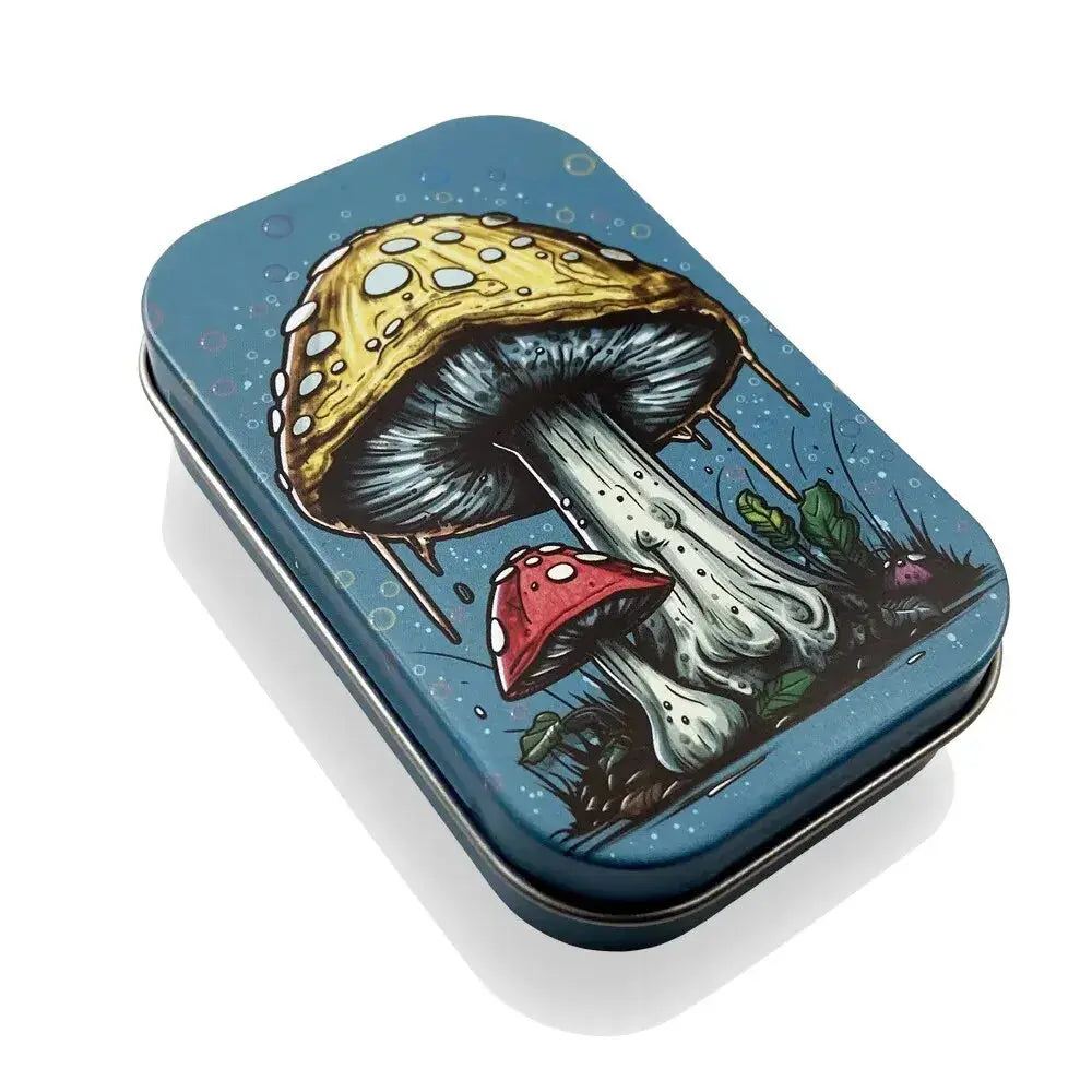 Flip Cap Cigarette Case Rectangle Container Tinplate Box Tobacco Storage Smoking Accessories Jewelry Candy Coin Key Organizer - HASHTAG