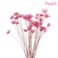 Artificial Flowers Spring Decoration Bright Color Dried Liebe - Making Life Easier