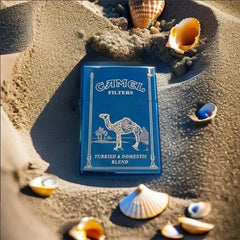 2025 new High end kerosene lighter, Camel windproof kerosene customized lighter, can be connected to DIY customization HASHTAG BAR TABACCHI