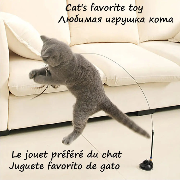 Detachable Wire Rod Sucker Cat Stick AliExpress