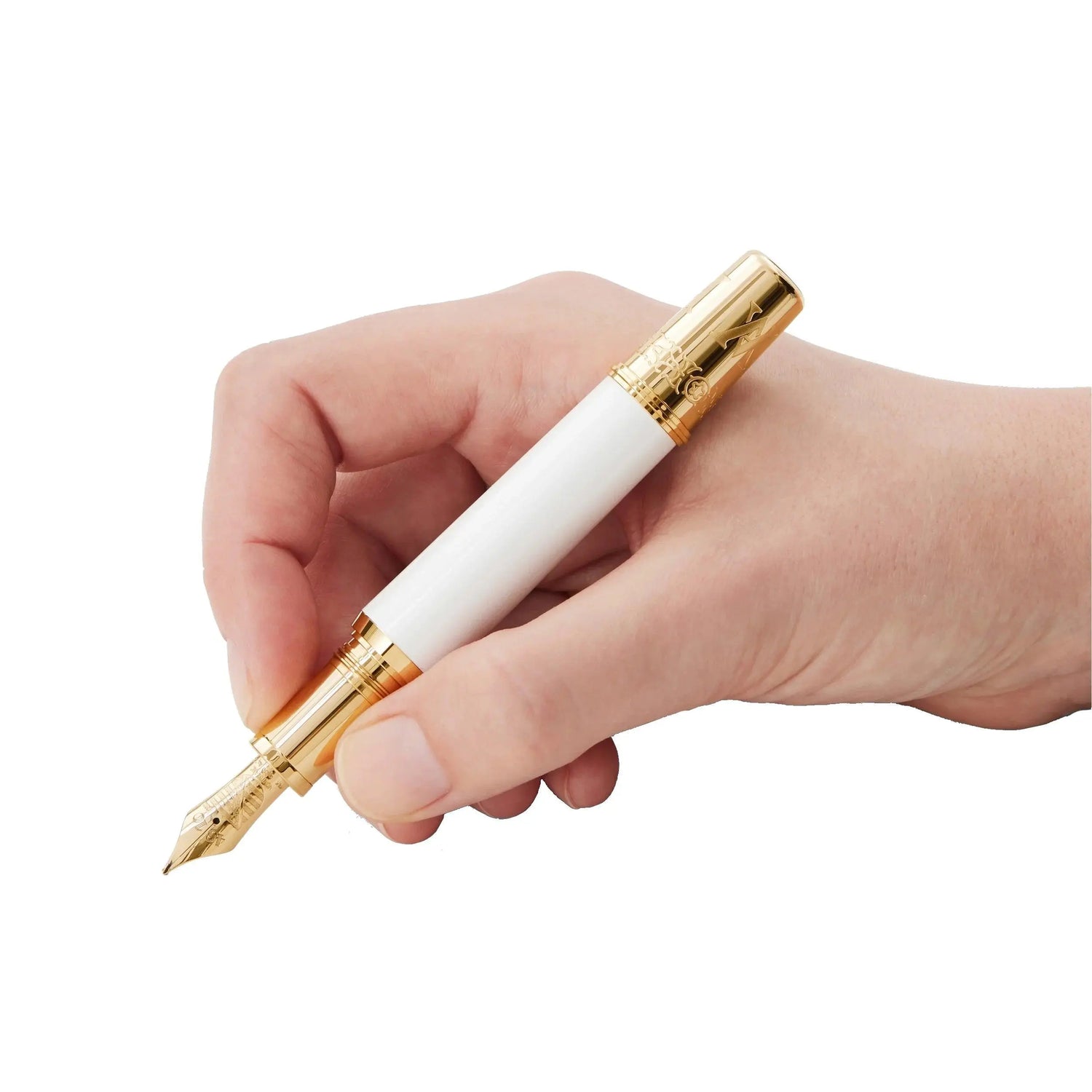 Montblanc stilografica Patron of Art Homage to Albert Limited Edition 4810 punta M 127850 Capodagli 1937