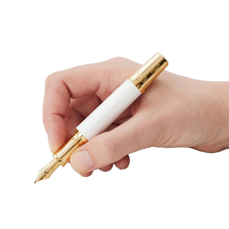 Montblanc stilografica Patron of Art Homage to Albert Limited Edition 4810 punta M 127850 Capodagli 1937